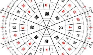 小天鹅甩干机 小天鹅甩干机